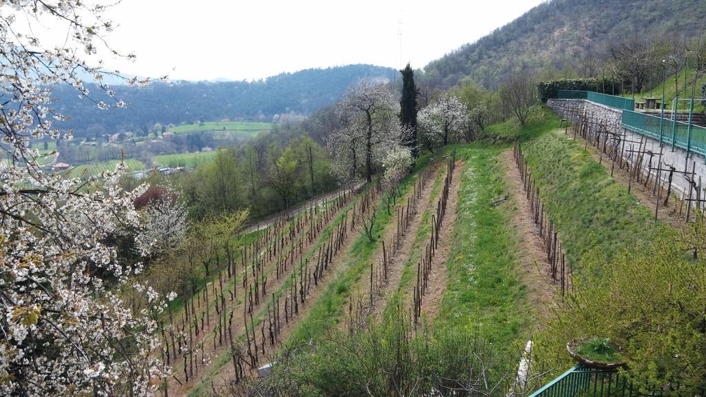 Agriturismo Il Mirabile Bed & Breakfast Trescore Balneario Eksteriør bilde