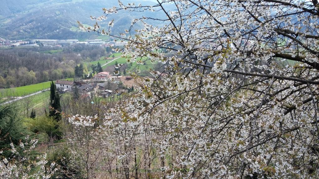 Agriturismo Il Mirabile Bed & Breakfast Trescore Balneario Eksteriør bilde